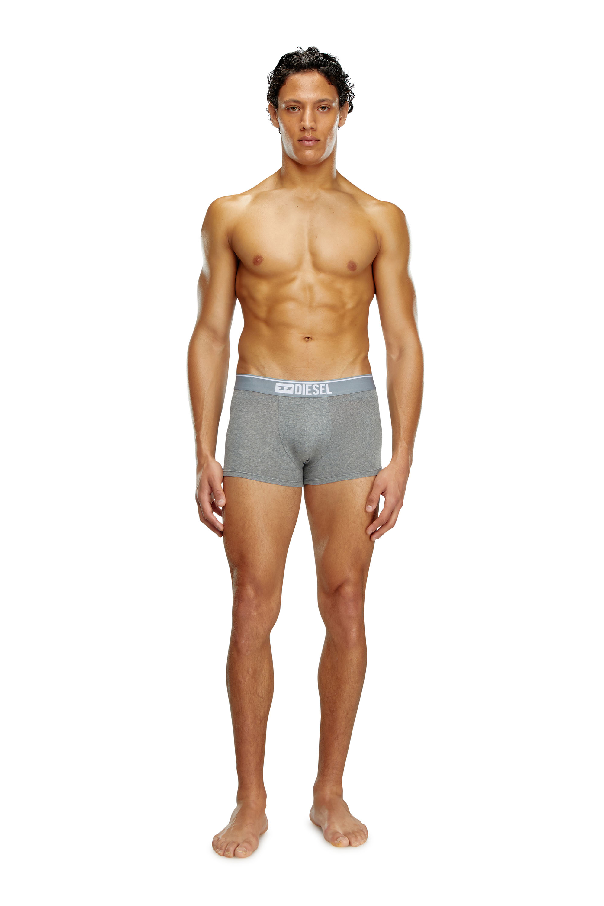 Diesel - UMBX-DAMIENTHREEPACK, Man's Three-pack of plain boxer in White/Grey - 3