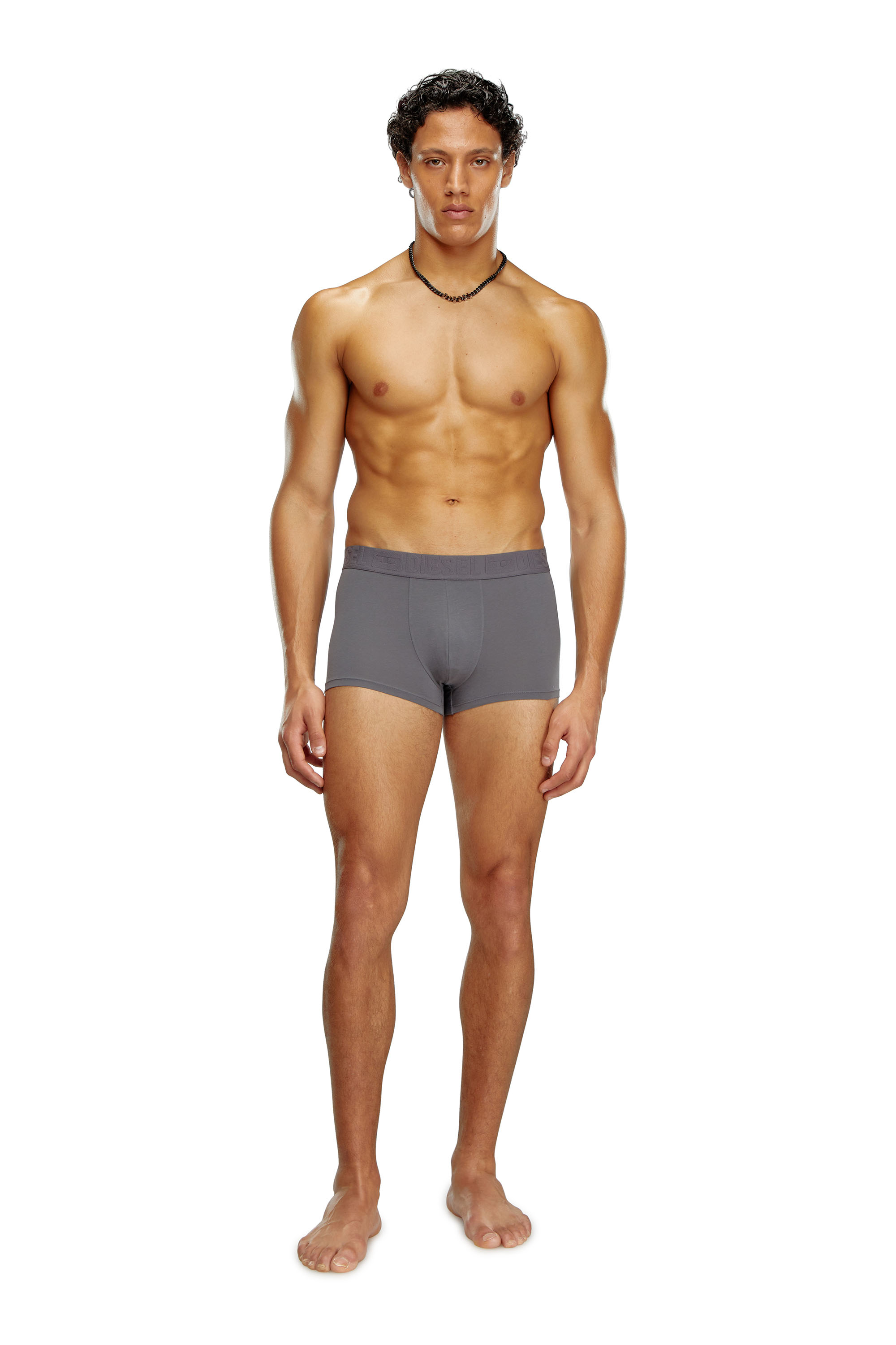 Diesel - UMBX-DAMIENTHREEPACK, Man's Three-pack monochrome boxer briefs in Grey/Blue - 4