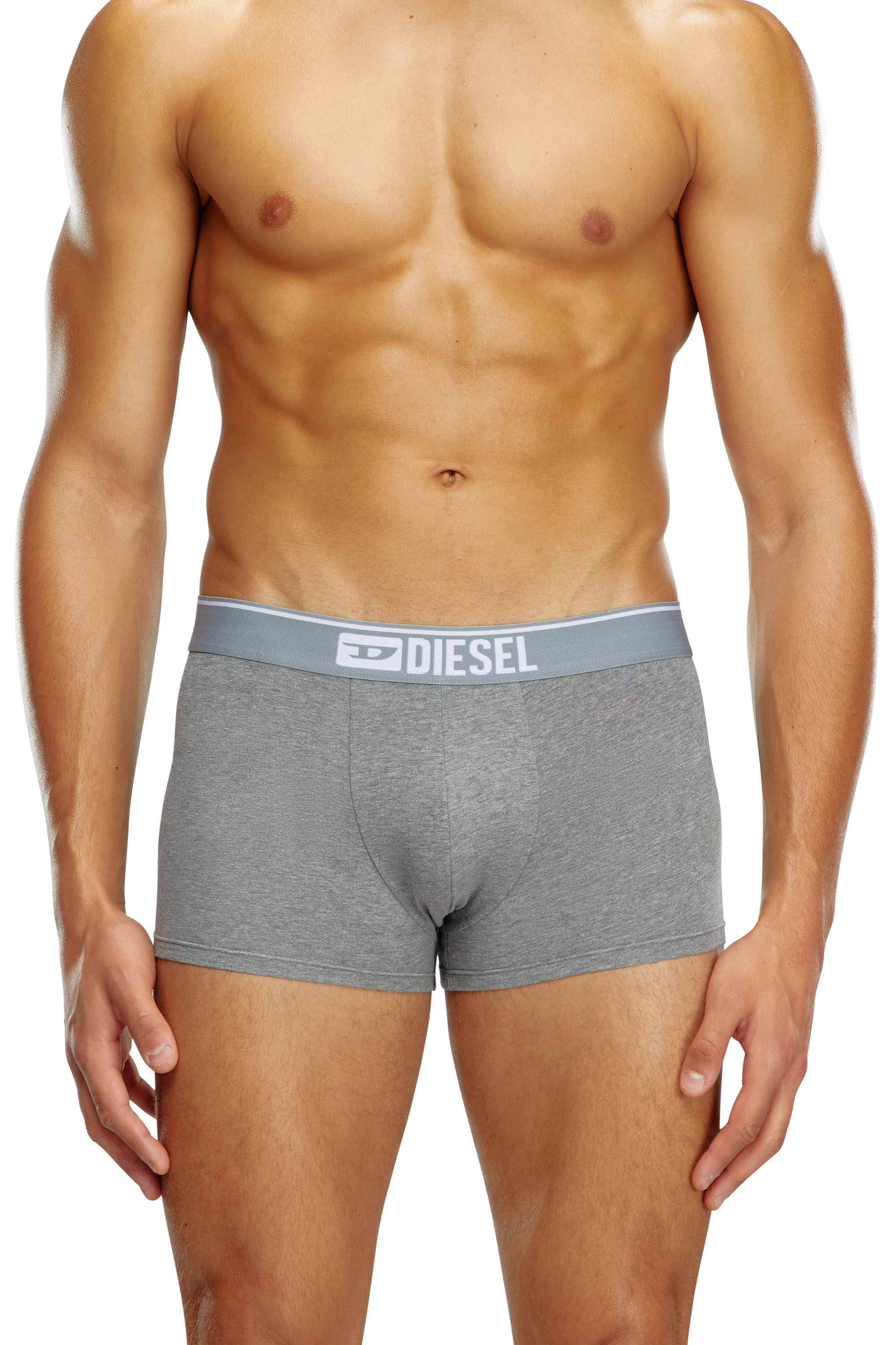 Diesel - UMBX-DAMIENTHREEPACK, Man's Three-pack of plain boxer in White/Grey - 2