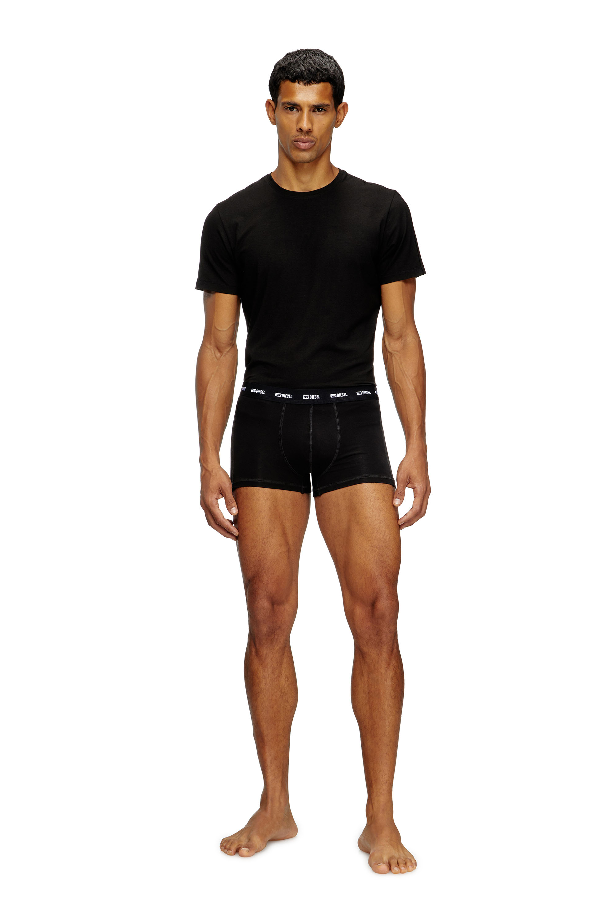Diesel - RANDAL-D-MONO-2PACK, Man's 2-pack T-shirts in fluid jersey in Black - 2