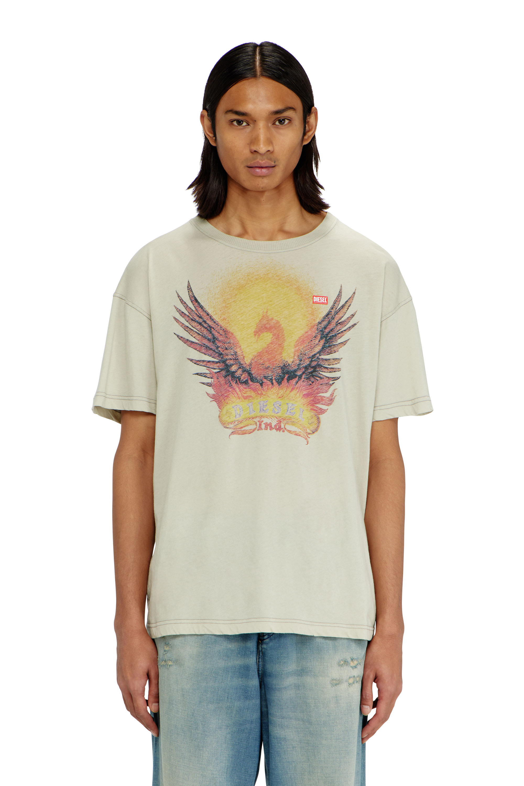 Diesel - T-NORM-AA1, Man's Regular T-shirt with Phoenix print in null - 1