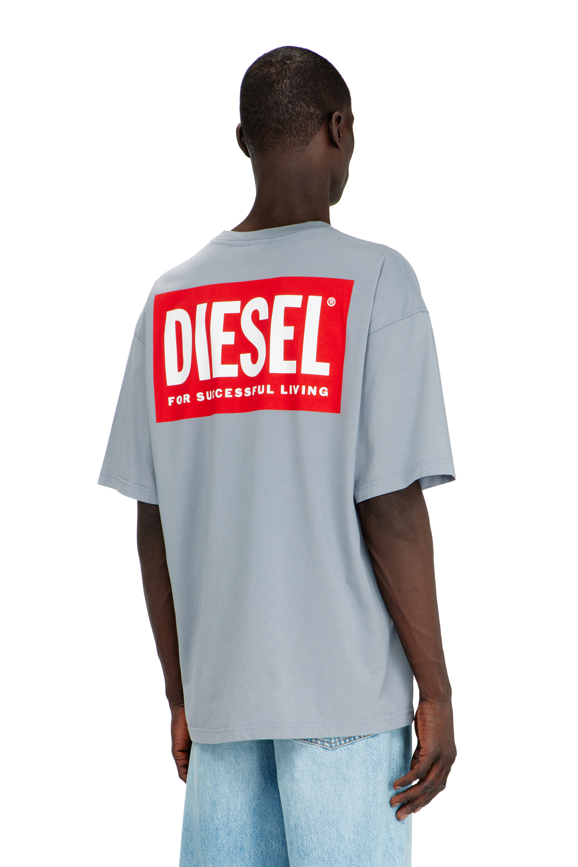 Diesel - T-BOXT-BISK, Man's Cotton T-shirt with Diesel Biscotto print in Light Grey - 4